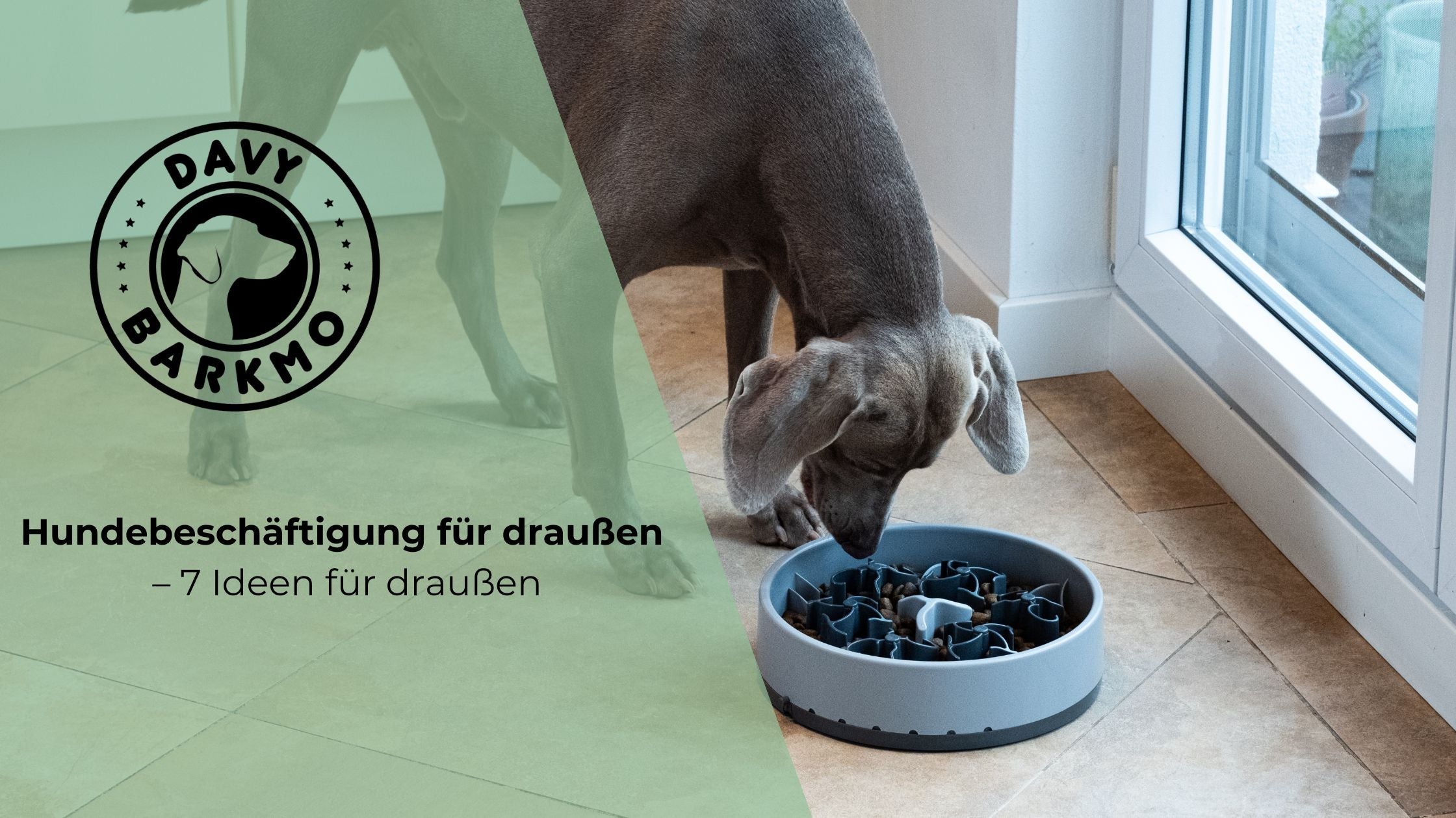 fiete hundefutter Trockenfutter Wild gebacken  hypoallergen