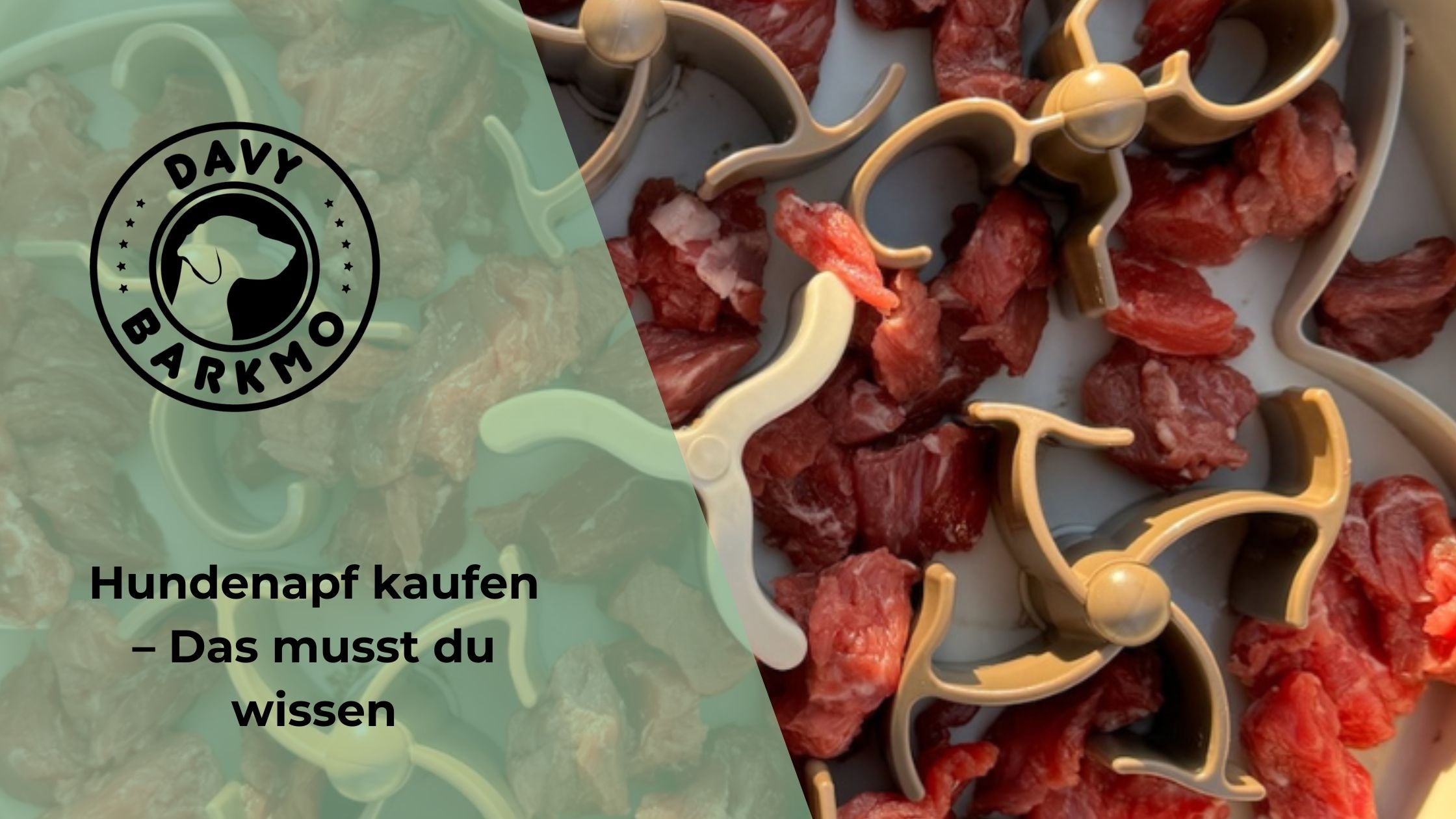 Hundenapf Kaufen Tipps F r Hundeeltern DavyBarkmo Hundenapf Kaufen Tipps F r Hundeeltern DavyBarkmo
