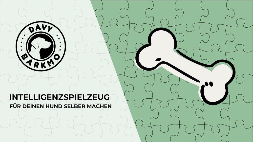 Intelligenzspielzeug fr deinen Hund selber machen - DavyBarkmo