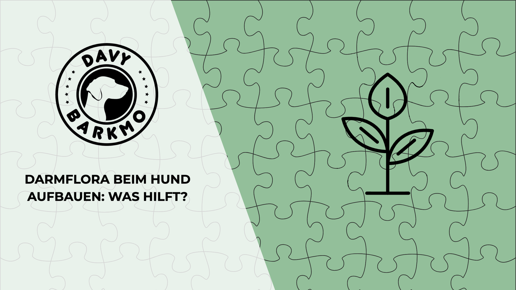 Darmflora beim Hund aufbauen: was hilft?