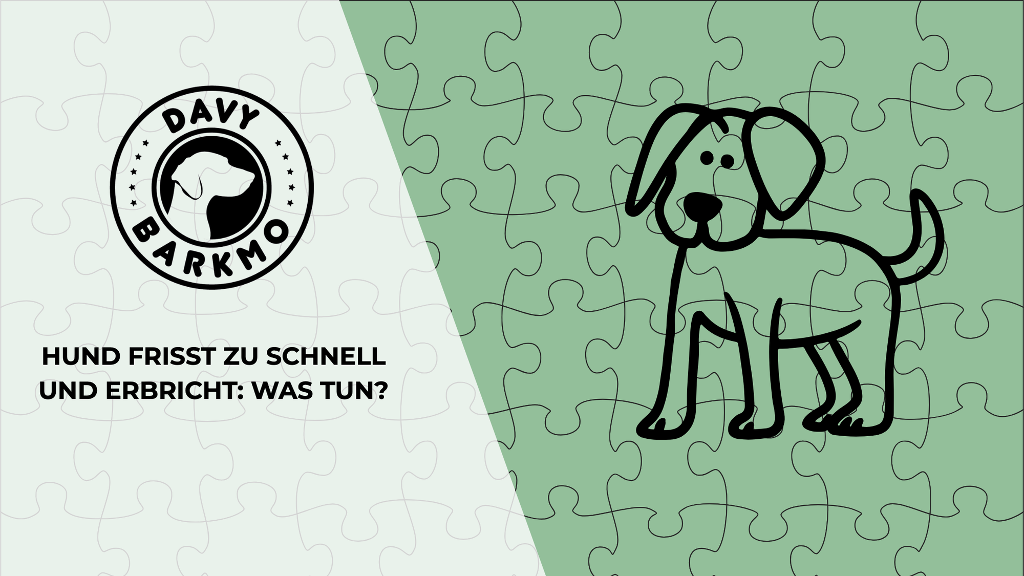 Hund frisst zu schnell und erbricht: was tun?