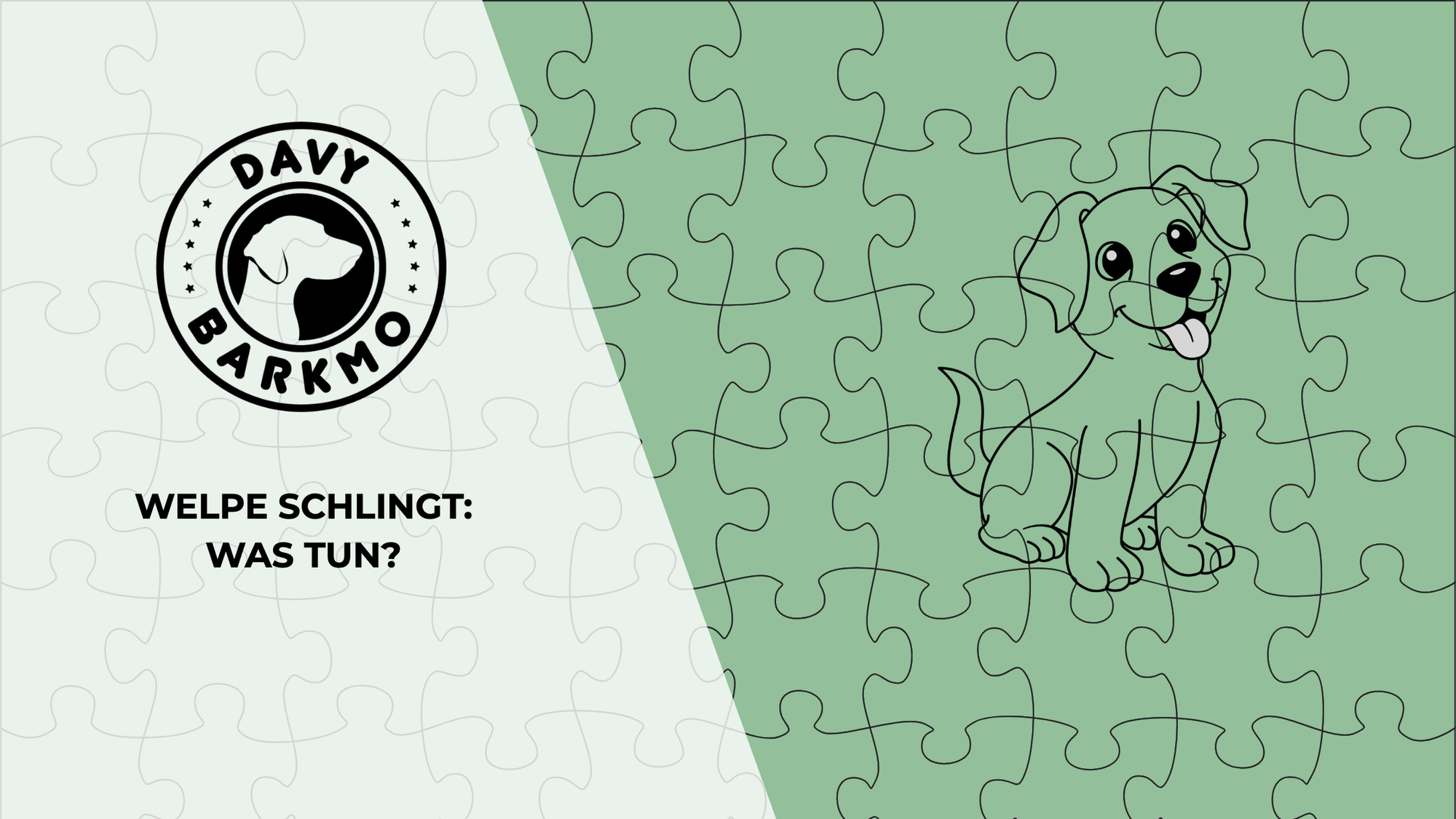Welpe schlingt: was tun?