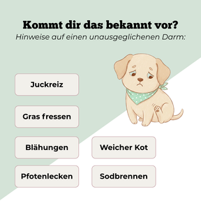 Kommt dir das bekannt vor? Hinweise auf einen unausgeglichenen Darm