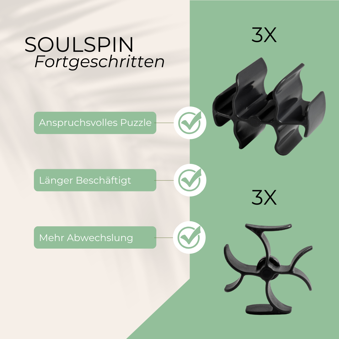 SoulSpin