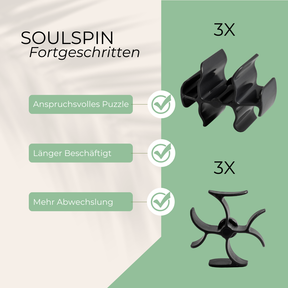 SoulSpin