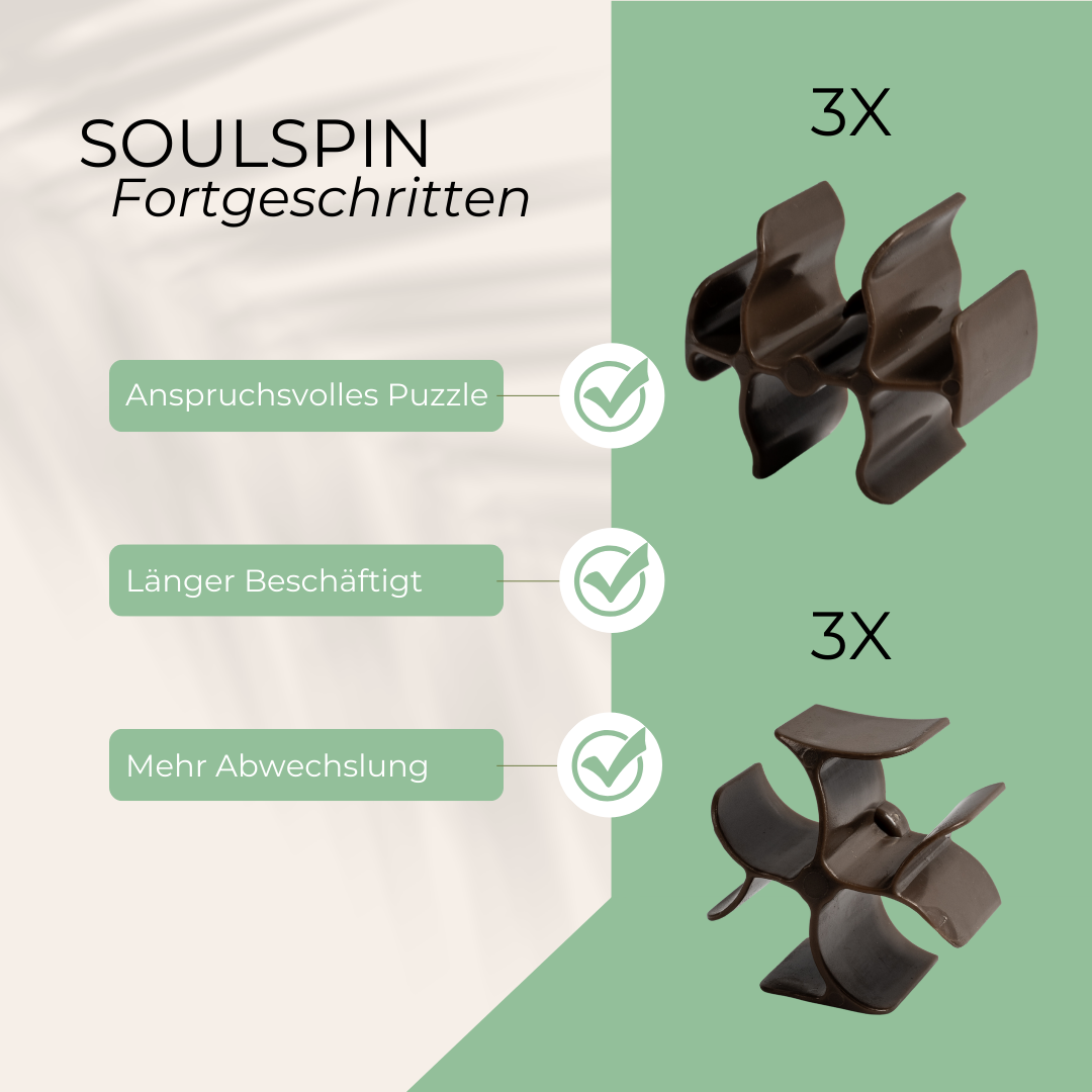 SoulSpin
