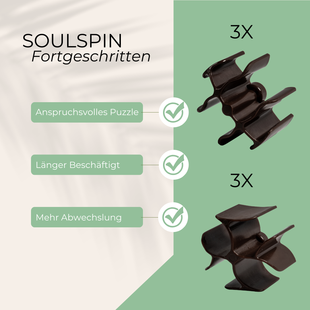 SoulSpin