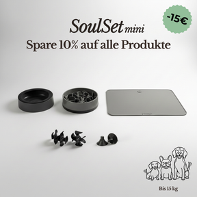 SoulSet