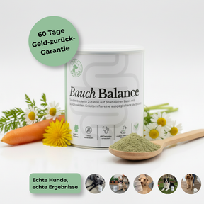 Bauch-Balance