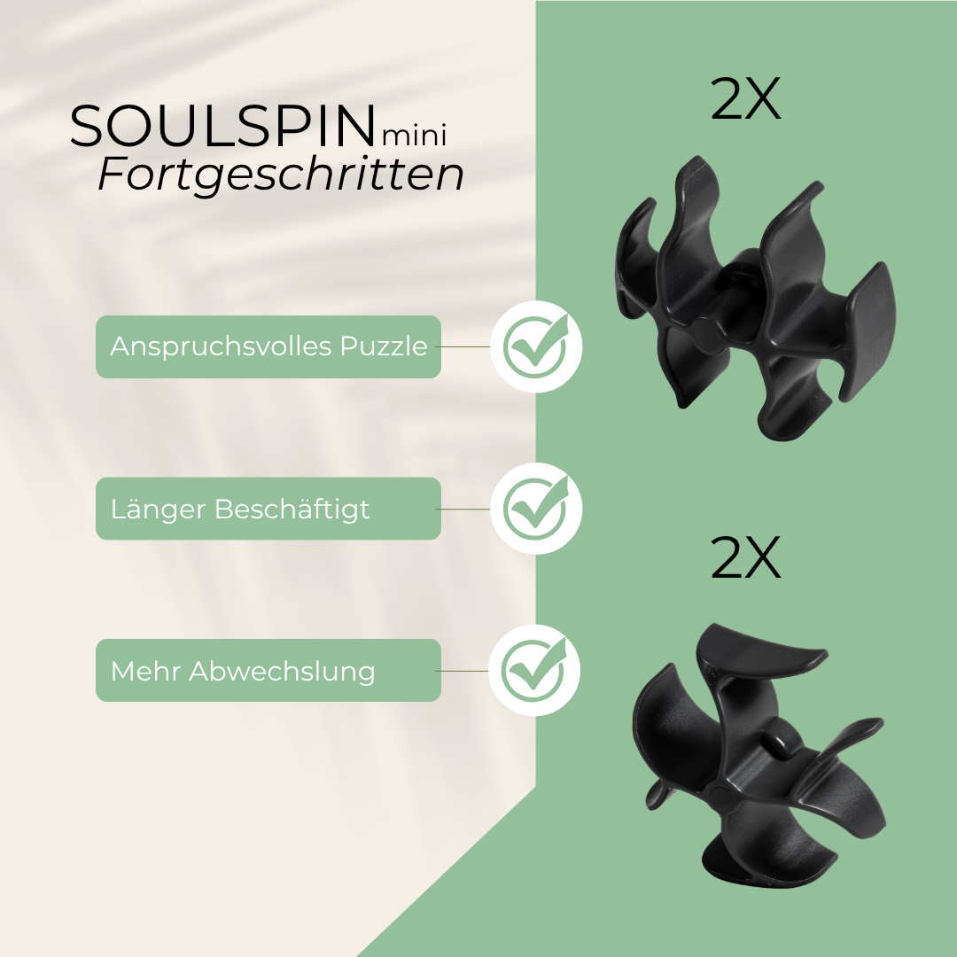 SoulSpin