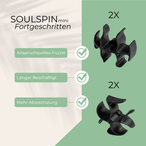 SoulSpin