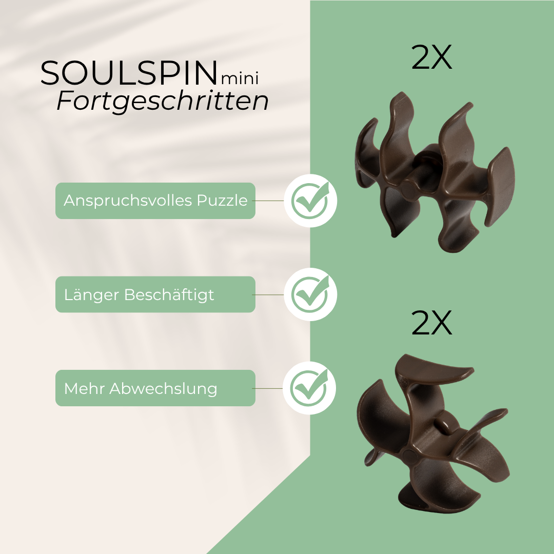 SoulSpin
