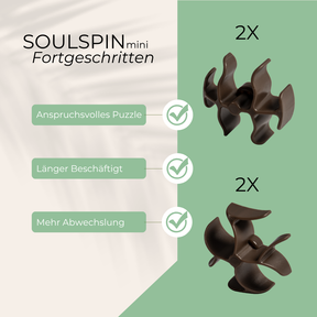 SoulSpin