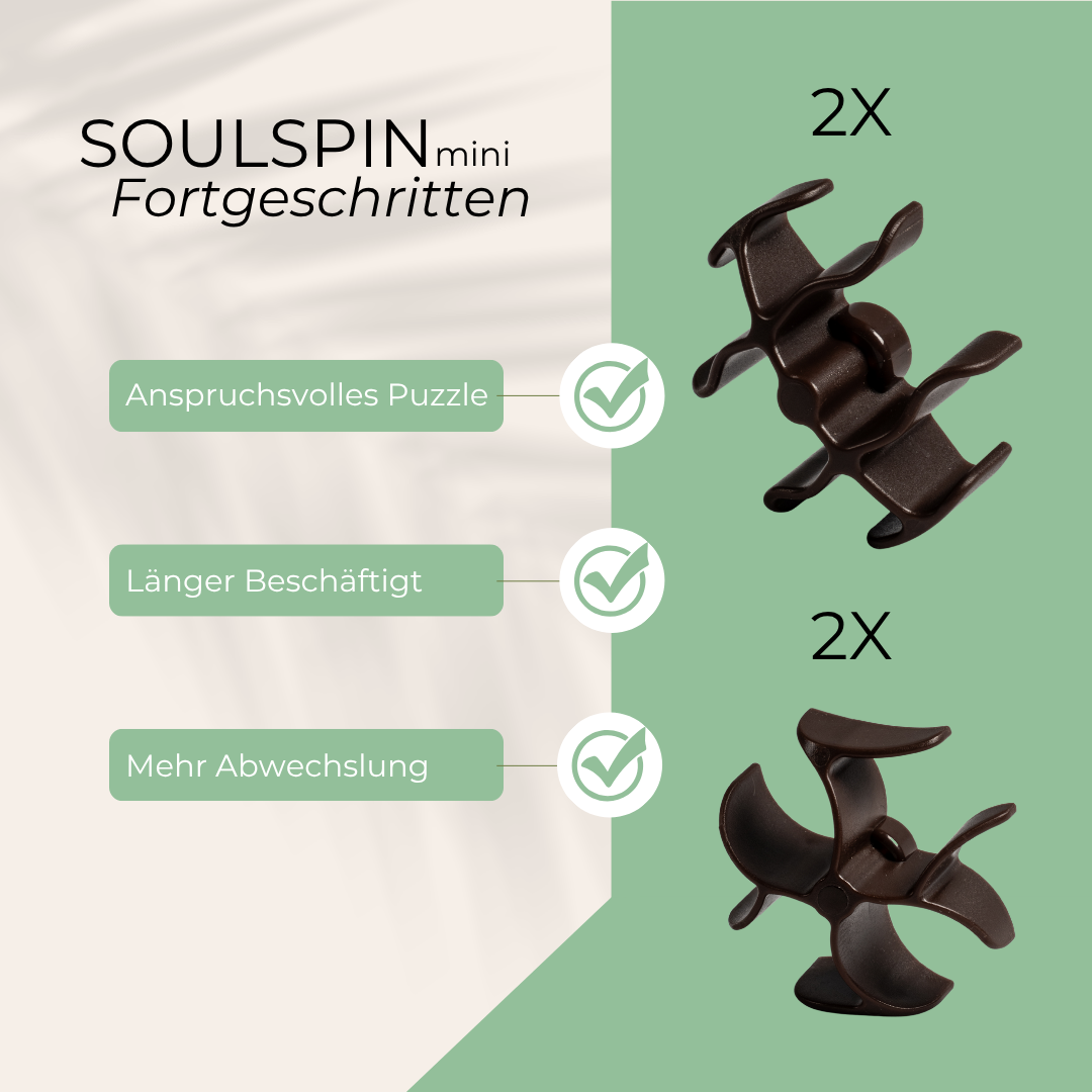 SoulSpin