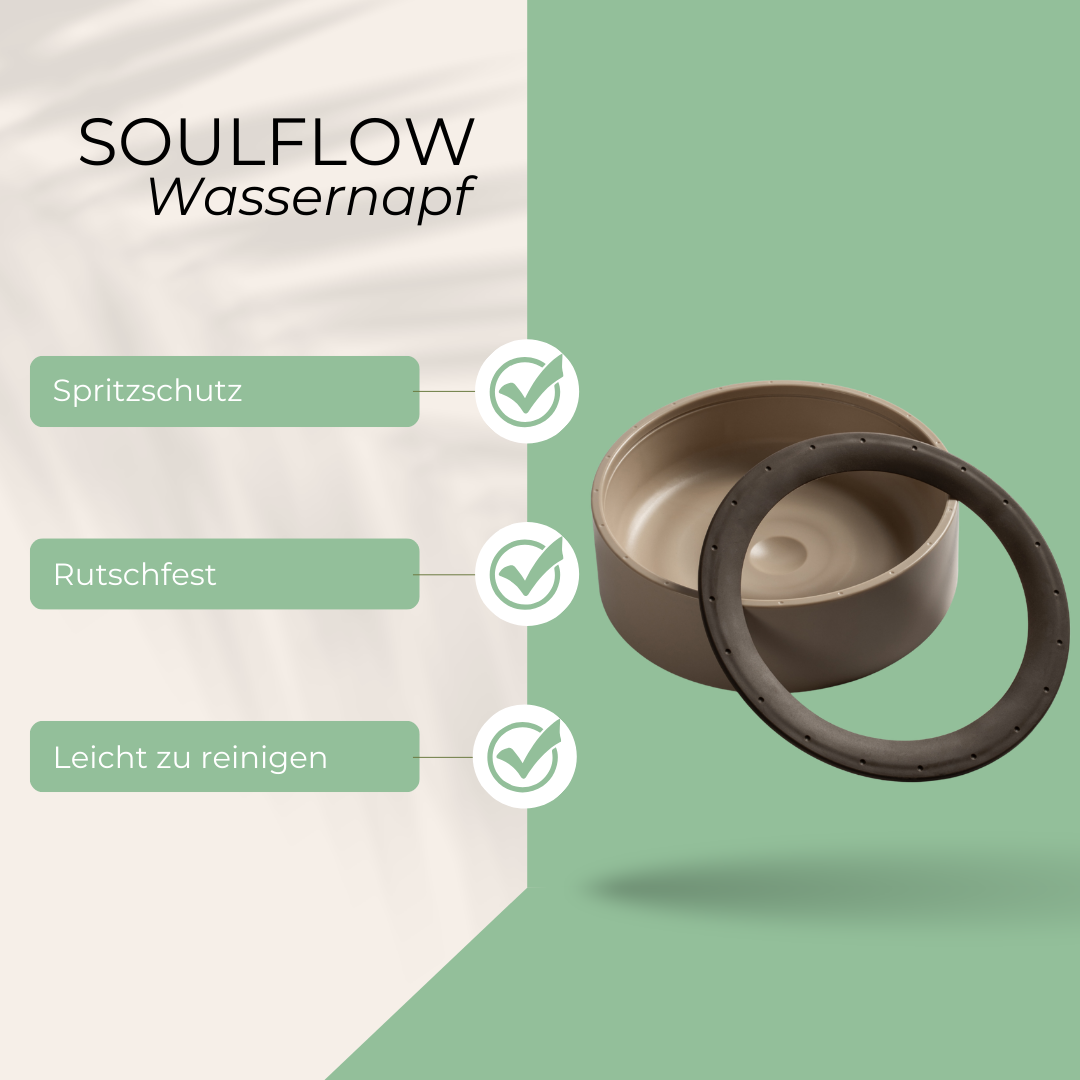 SoulFlow