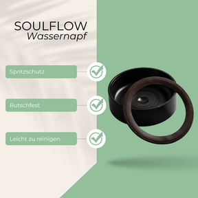 SoulFlow