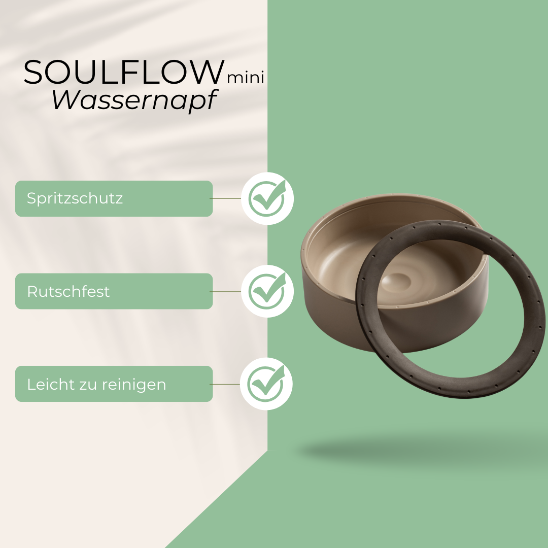 SoulFlow