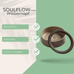 SoulFlow