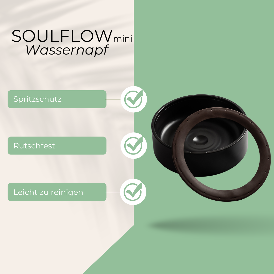 SoulFlow