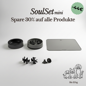 SoulSet