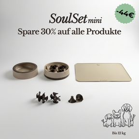 SoulSet