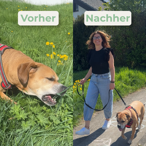 Bauch-Balance