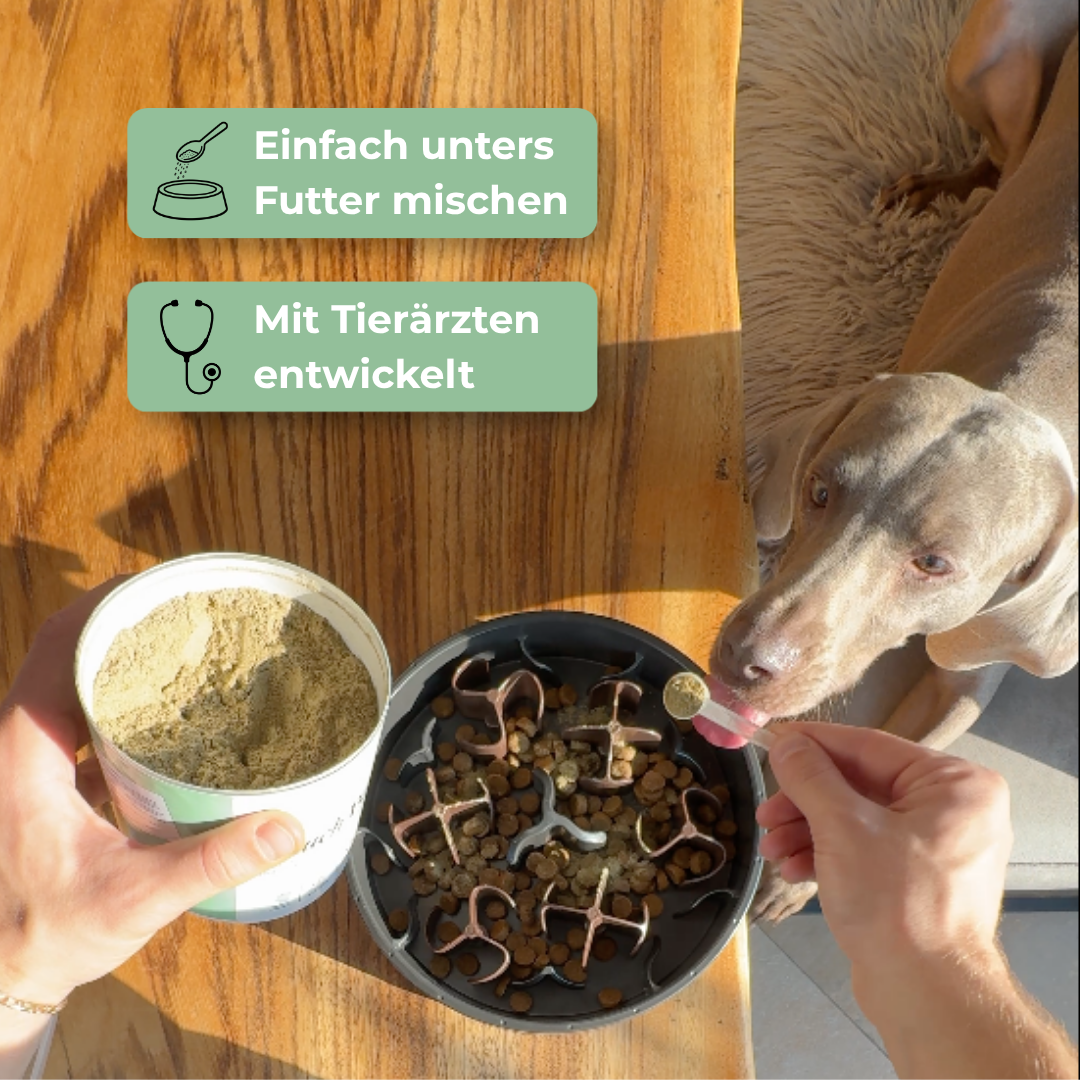 Bauch-Balance
