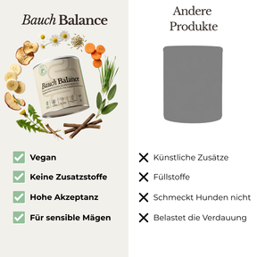 Bauch-Balance