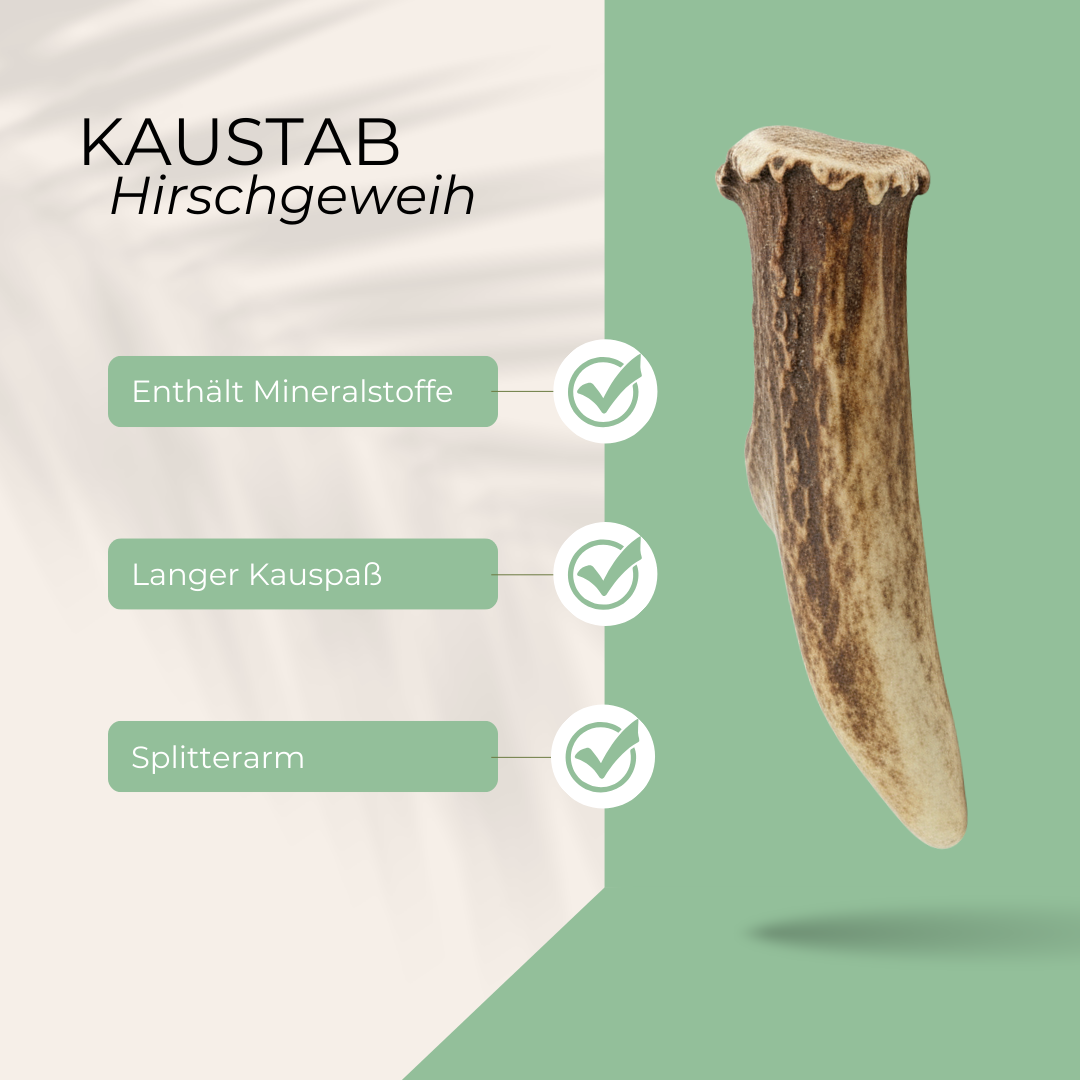 Kaustab 3 Sorten