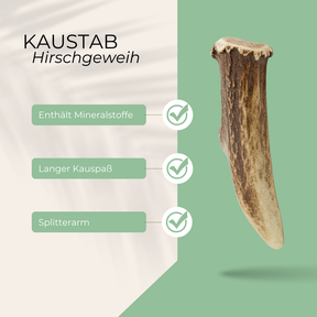 Kaustab 3 Sorten