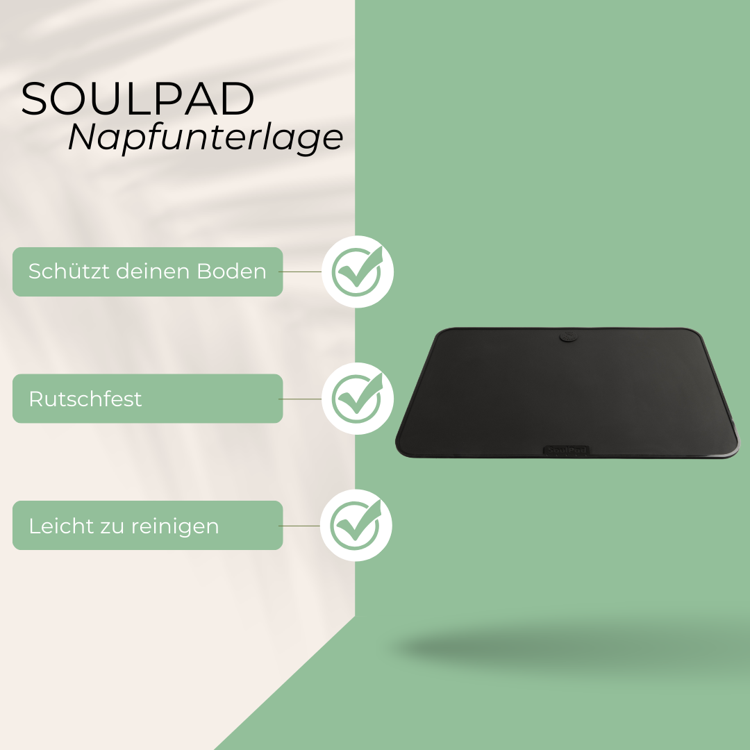SoulPad