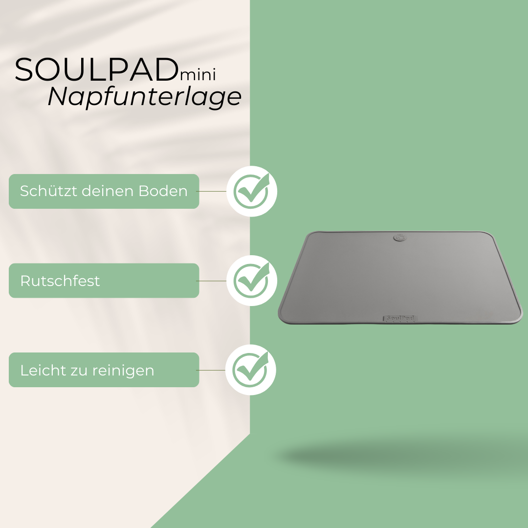 SoulPad