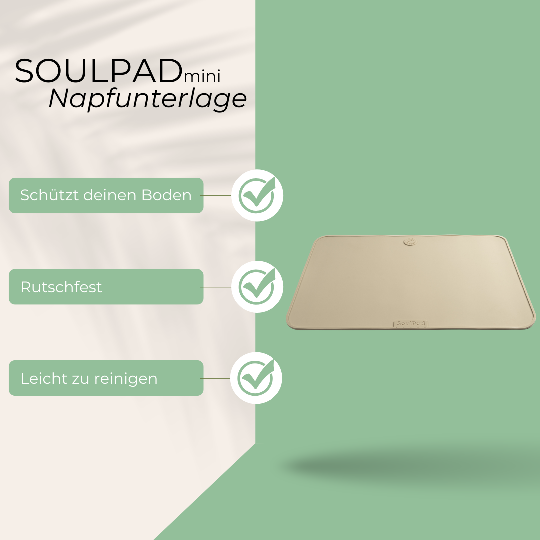 SoulPad
