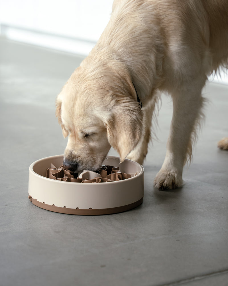 Jede Mahlzeit wird zur Kopfarbeit