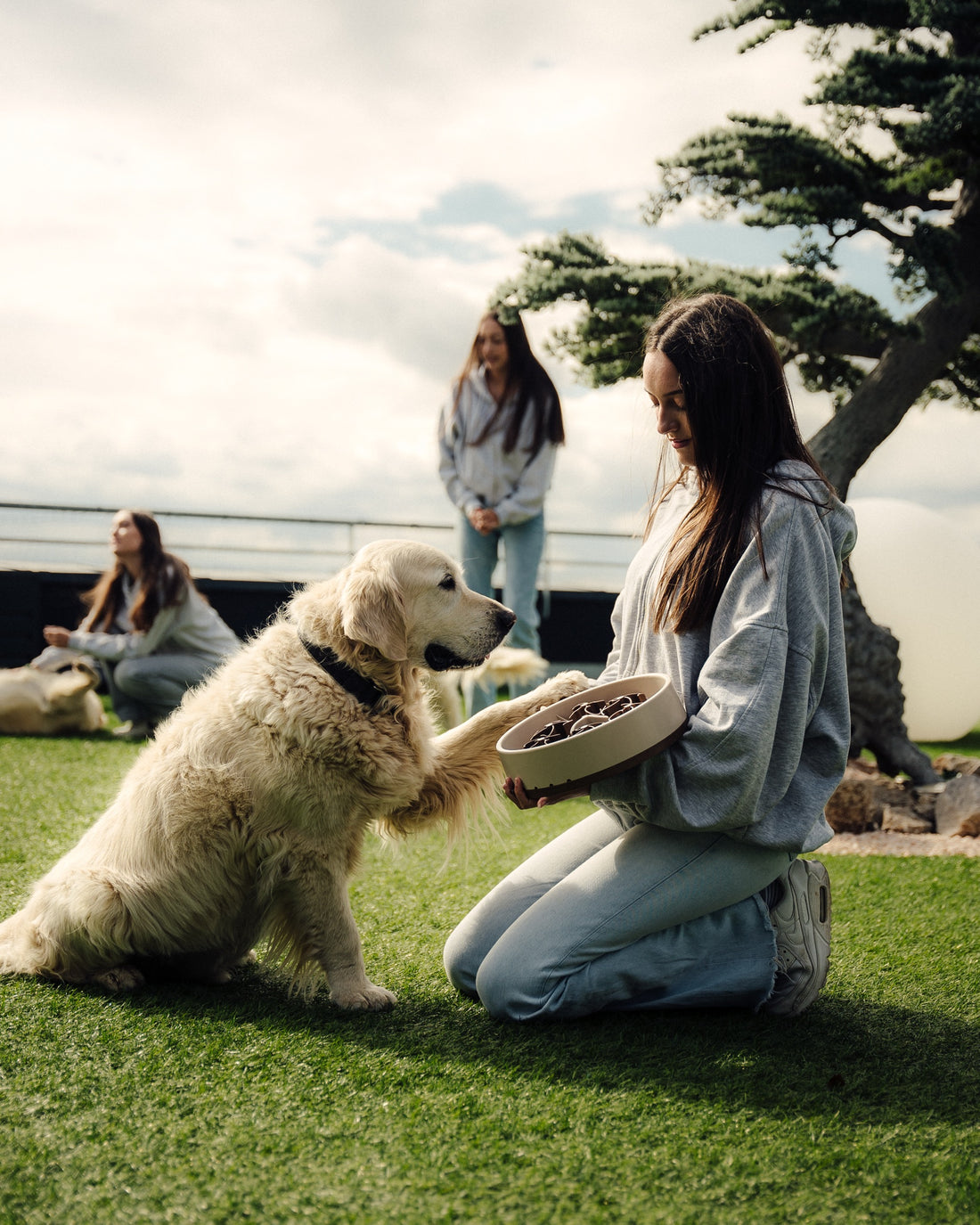 Eine Frau hält einem Golden Retriever auf einer Wiese eine beige SoulBowl hin