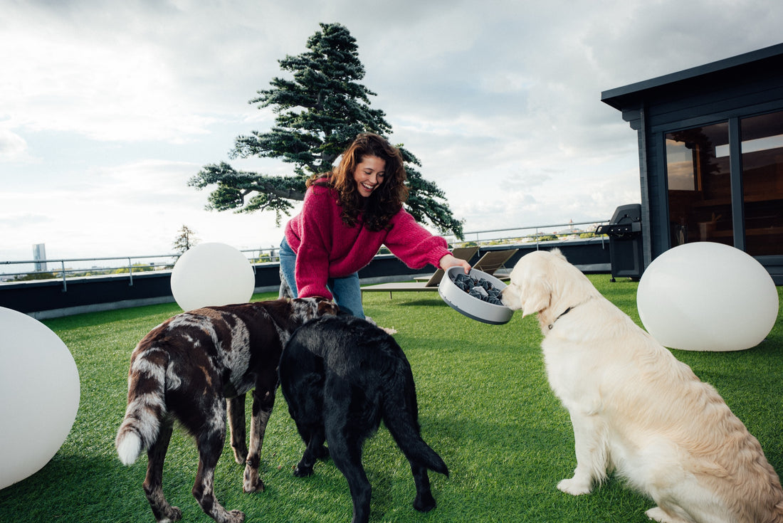 Eine Frau hält zwei SoulBowls, drei Hunde warten auf einer Wiese davor