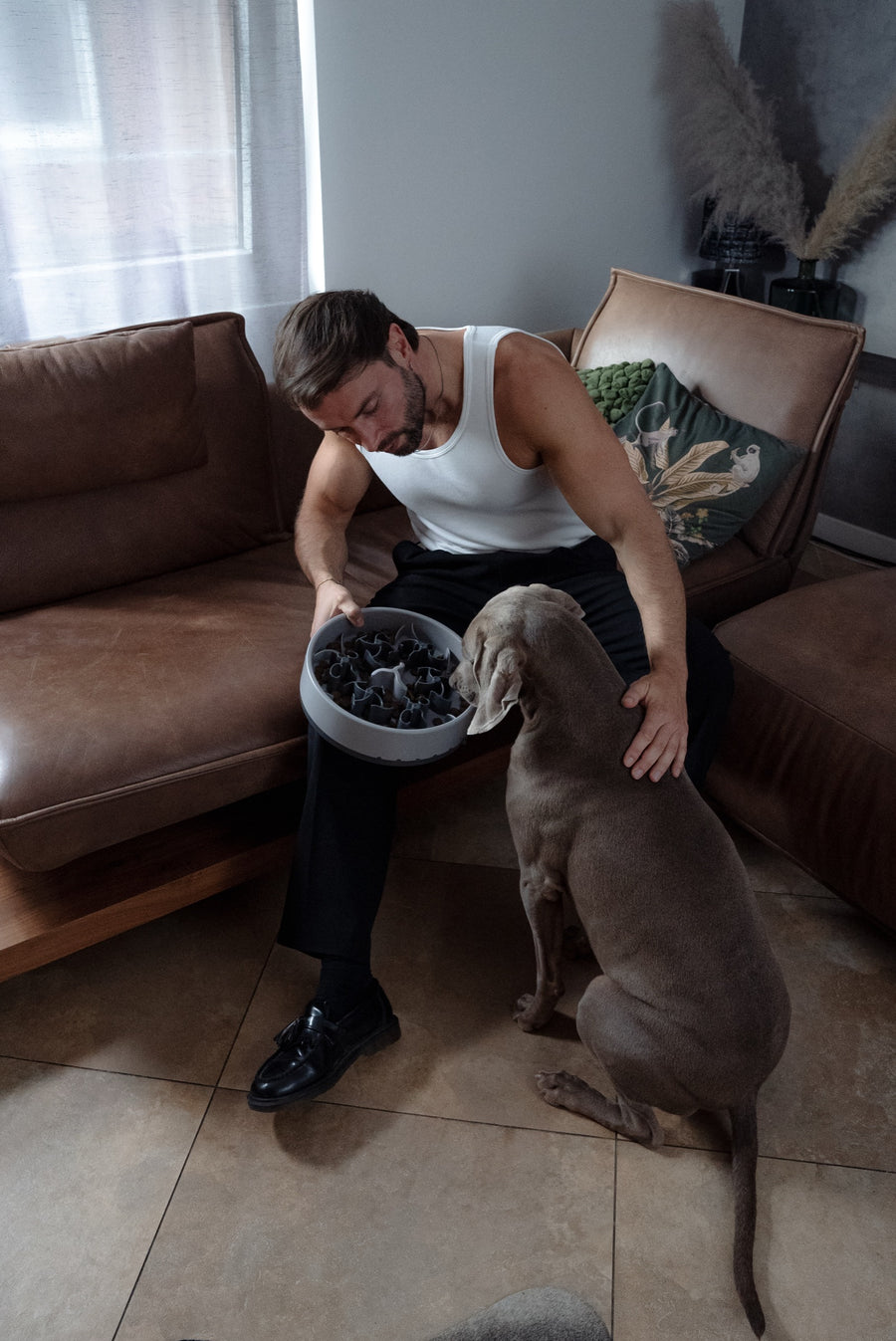 Ein Mann sitzt auf dem Sofa und hält Weimaraner Hunter eine graue SoulBowl hin
