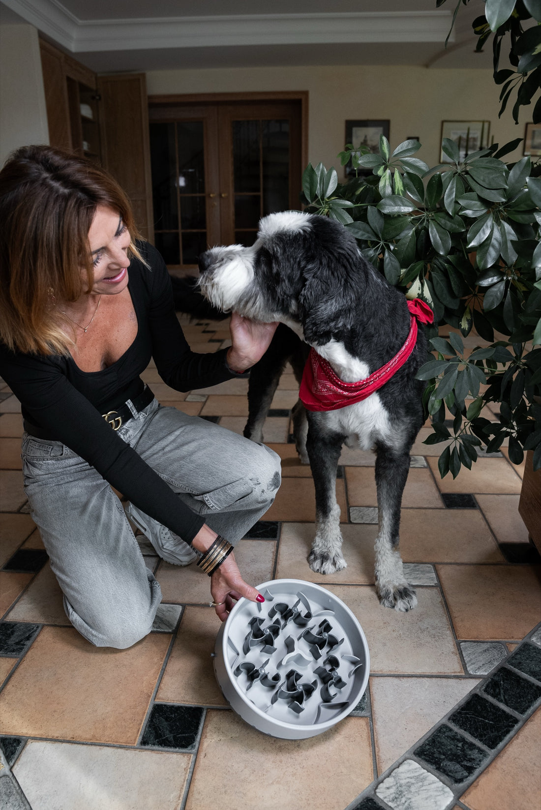 Eine Frau hockt neben einem Hund mit schwarz-weißem Fell, vor ihnen steht eine graue SoulBowl