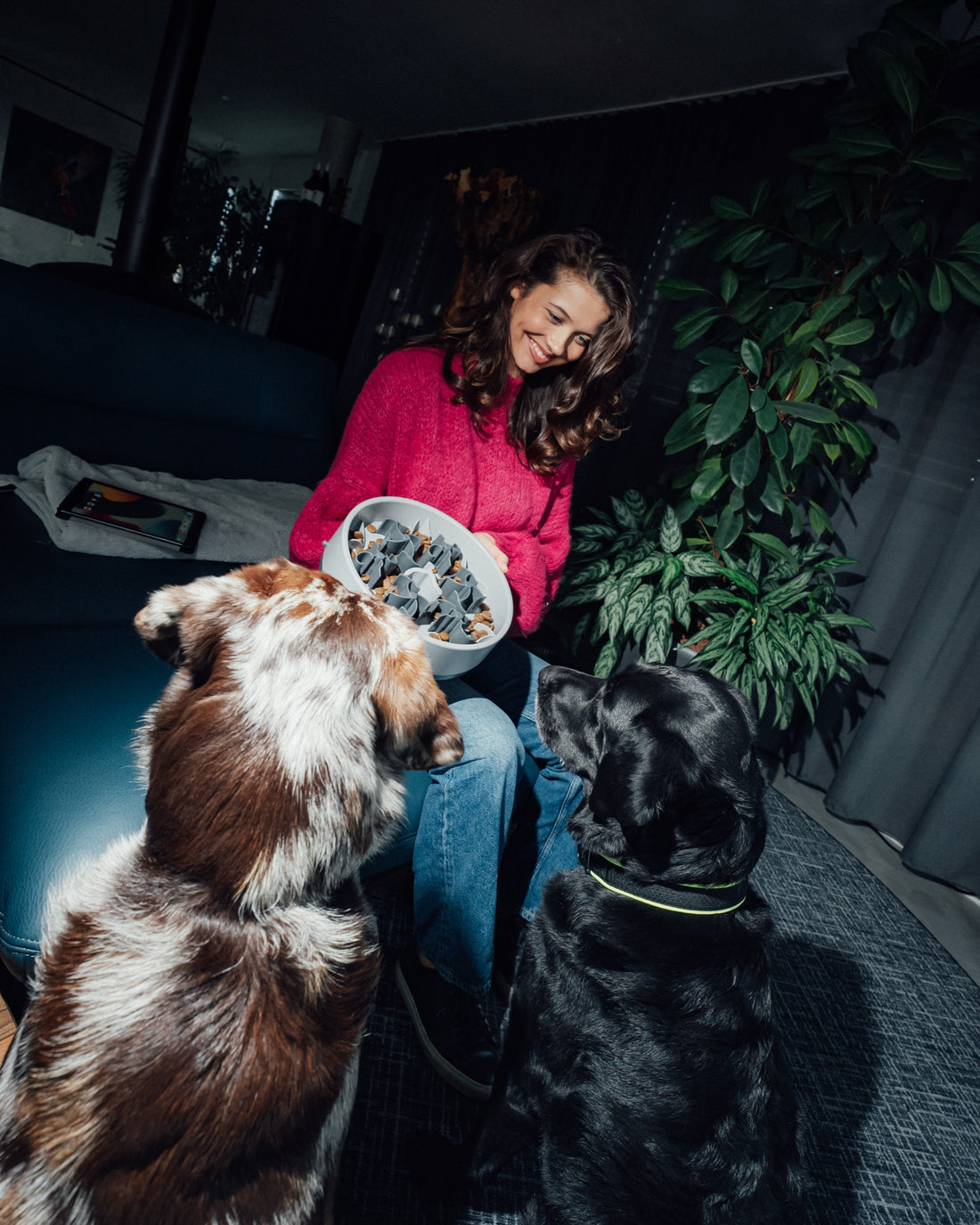 Eine Frau hält eine graue SoulBowl, zwei Hunde sitzen davor und warten