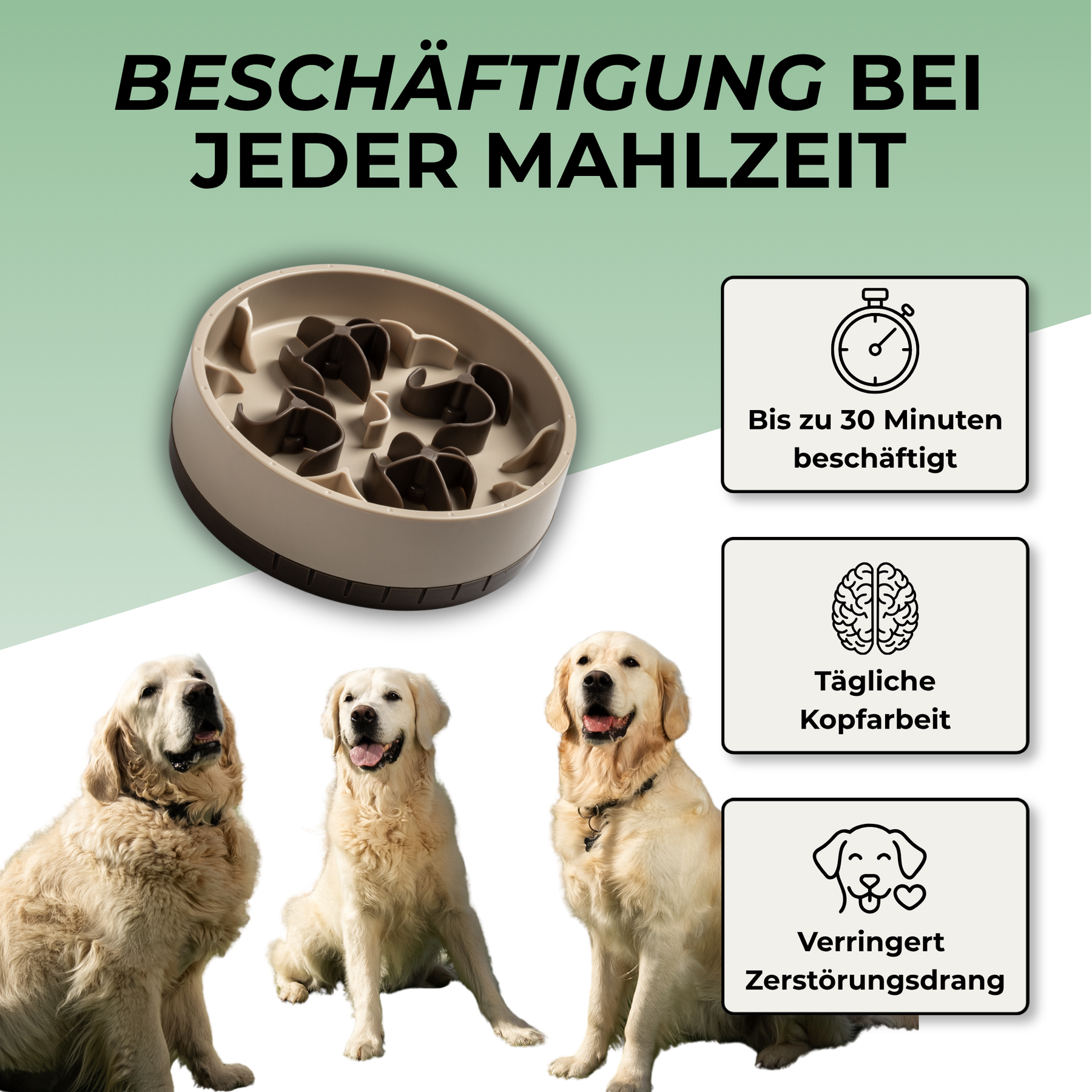 SoulSet Hunti (Grau) / Groß: Beschäftigung bei jeder Mahlzeit – bis zu 30 Minuten, tägliche Kopfarbeit