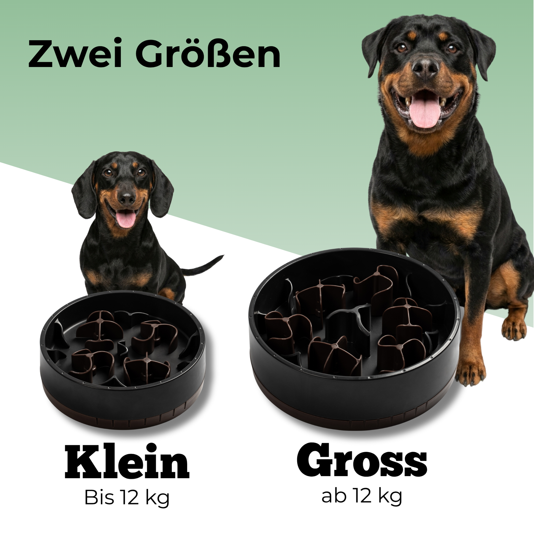 SoulSet Daisy (Schwarz) / Groß: Zwei Größen – Klein bis 12 kg, Groß ab 12 kg