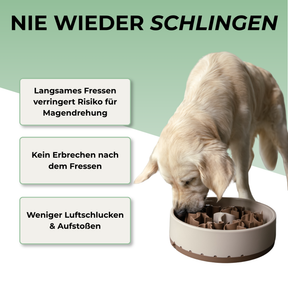 SoulSet Hunti (Grau) / Groß: Nie wieder Schlingen – langsames Fressen, kein Erbrechen, weniger Luftschlucken